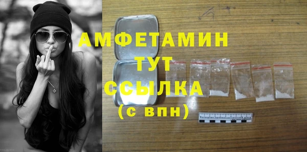 шишки Лабытнанги