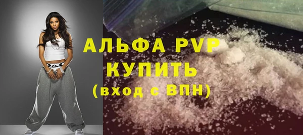 шишки Лабытнанги