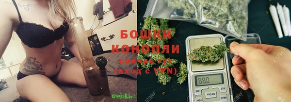шишки Лабытнанги