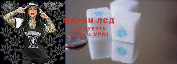 шишки Лабытнанги