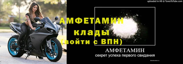 шишки Лабытнанги