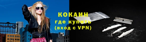 шишки Лабытнанги