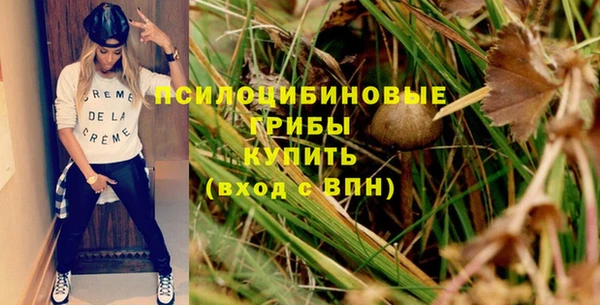 шишки Лабытнанги