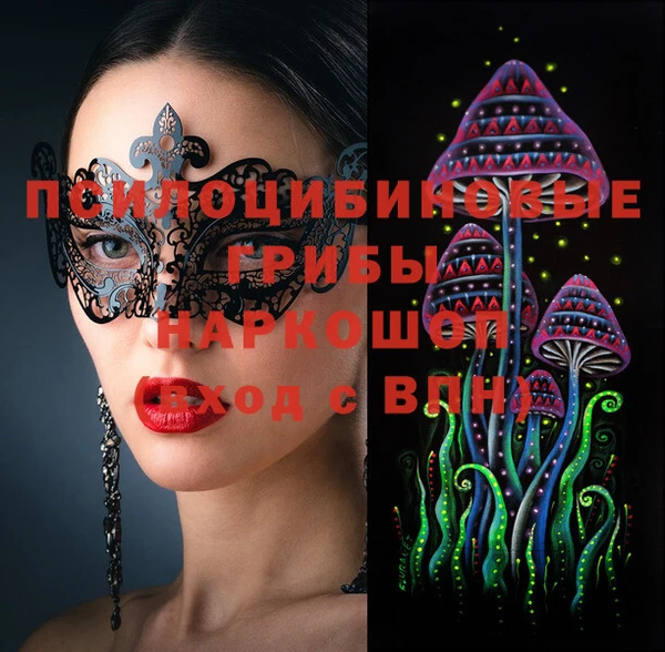 шишки Лабытнанги