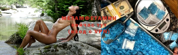 шишки Лабытнанги