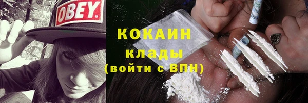 шишки Лабытнанги