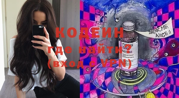 шишки Лабытнанги