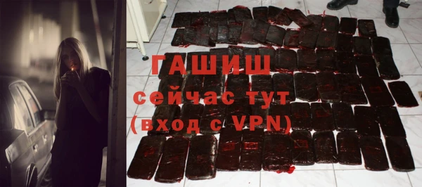 шишки Лабытнанги