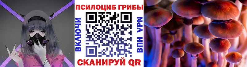 Псилоцибиновые грибы Cubensis Пойковский